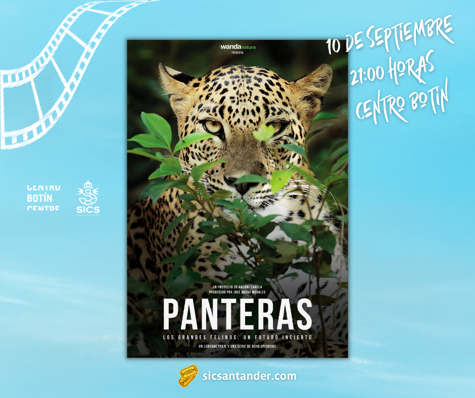 Película Panteras – Centro Botín