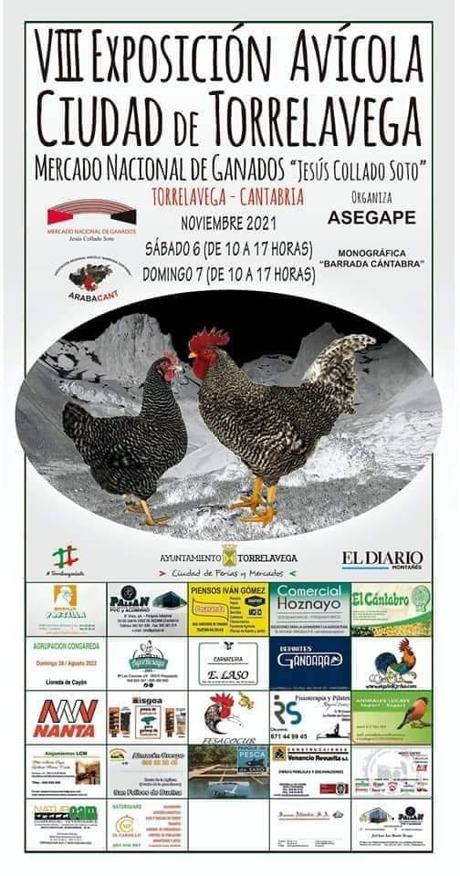 VIII Exposición avícola Ciudad de Torrelavega