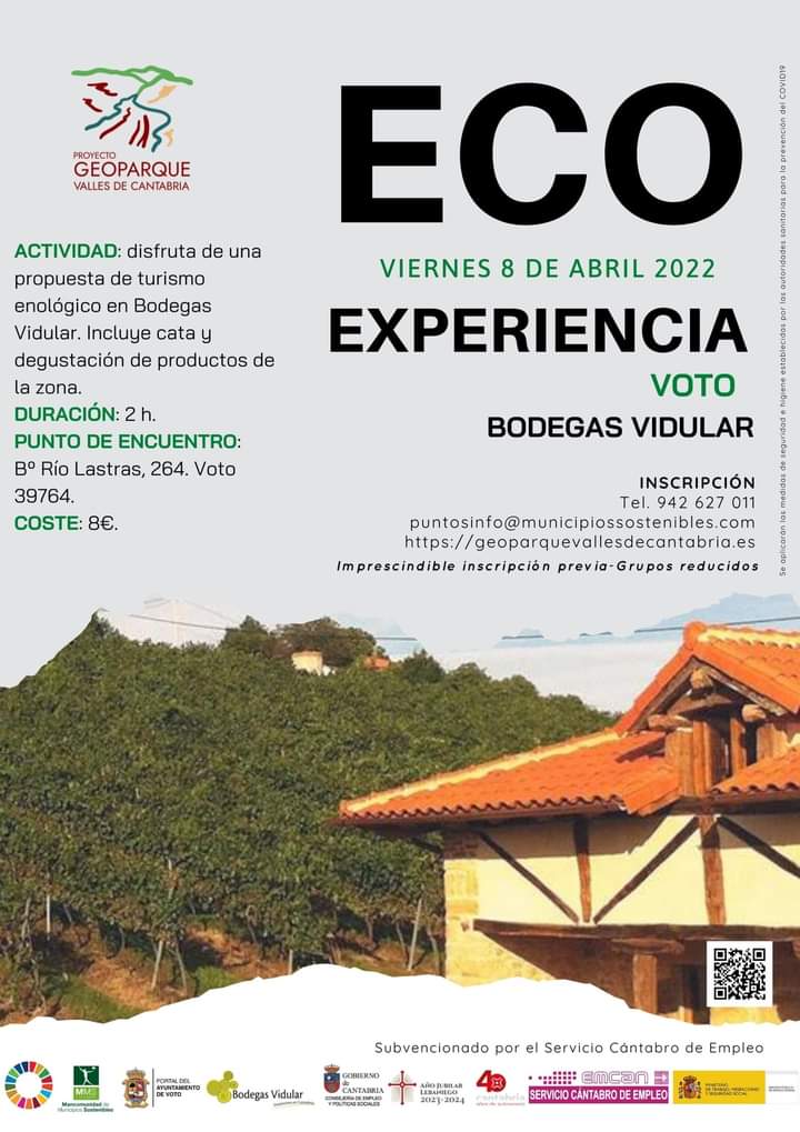 Eco Experiencia en Voto – Turismo enológico en Bodegas Vidular