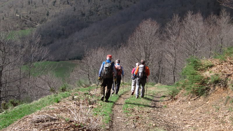 Subida Senderista a Braña Los Tejos 2025