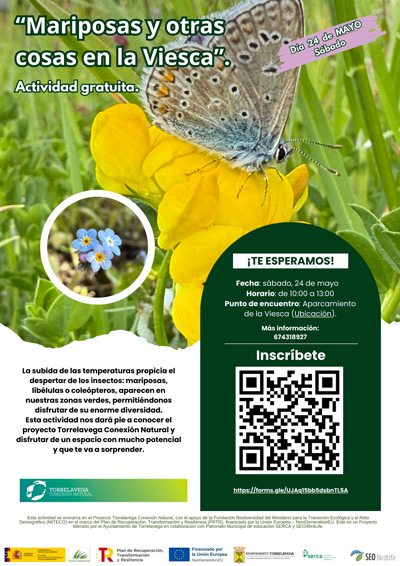 “Mariposas y otras cosas en la Viesca” – Actividad gratuita en Torrelavega