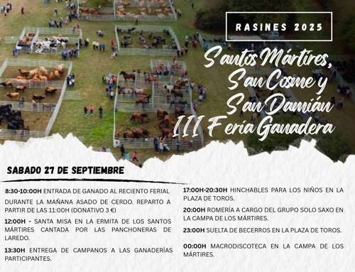 Fiestas de los Santos Mártires, San Cosme y San Damián en Rasines
