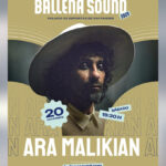 Ara Malikian en Santander